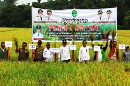 Kabupaten Kukar  berkontribusi padi 50,71 persen bagi Kaltim