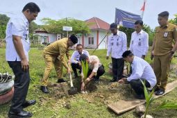 Pemkab Simeulue ajak masyarakat galakkan tanam kelapa