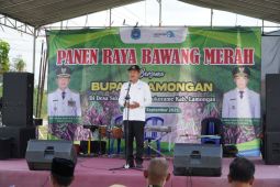 Pemkab Lamongan budidaya bawang merah dukung ketahanan pangan