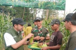 Kelompok Wanita Tani Kota Tangerang diminta gunakan pestisida organik
