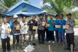 Pemerintah desa Aro lakukan penanaman jagung