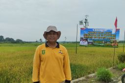 Dinas PUPR Tabalong targetkan pembangunan Jirak Food Cluster sepanjang 3,5 kilometer