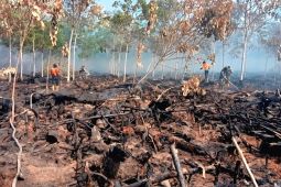 BPBD: Sebanyak 15,8 hektare lahan terbakar hingga Agustus 2025 di OKU Timur