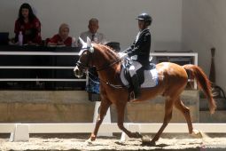 Turnamen equistrian di Malang