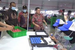 Bupati Ngawi lepas ekspor mainan OEM senilai 50 ribu dolar AS