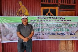 Pemkab Jayapura dampingi peternak cek kesehatan hewan mencegah penyakit