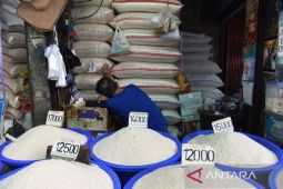 Harga beras hari ini, premium Rp15.717/kg, medium Rp13.554/kg