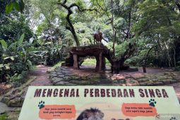 Soal kesejahteraan pekerja Bandung Zoo, Pemkot Bandung diyakini punya solusi