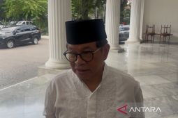 Gubernur DKI Jakarta pastikan lokasi baru Pasar Burung Barito lebih strategis