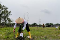 Kanwil Ditjenim Jambi tanam 5.000 bibit kelapa