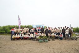 Pertamina Patra Niaga RJBB hadirkan Sekolah Patra Bahari dan tanam mangrove