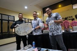 Polda Kalbar rilis hasil Operasi PETI