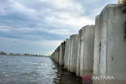 Tanggul beton KCN di Cilincing bukan "Giant Sea Wall"