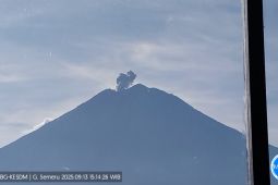 Semeru erupsi dengan tinggi letusan 500 meter di atas puncak