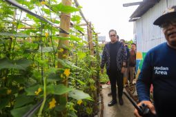 Wali Kota Medan minta  setiap kelurahan manfaatkan lahan tidur