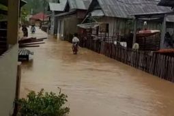 Empat dusun di Kabupaten Donggala terendam banjir