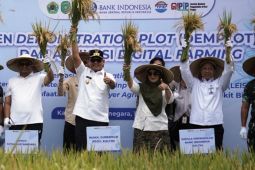 Uji coba sistem LEISA di Kukar  dongkrak panen padi jadi 6,2 ton per ha