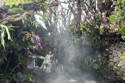 Pesona wisata nuansa seni dan alam yang fotogenik di Sari Timbul Bali