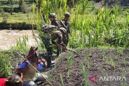 Satgas Yonif 521/DY bagikan bibit tanaman hortikultura ke warga Yahukimo