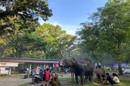 Taman Remaja Bengkulu, dari ikon rekreasi warga ke ruang terbengkalai