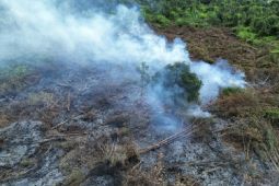 Tiga kebakaran lahan dalam sehari terjadi di Kotawaringin Timur Kalteng