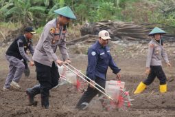 Polres Merauke tanam jagung tiga hektar dukung ketahanan pangan