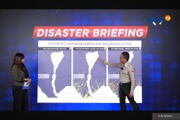 BNPB ingatkan banjir di Bali berpotensi terulang