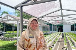 Pemkab Batang Hari telah terima bantuan benih padi