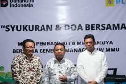 Perkuat sistem kelistrikan, PLN operasikan pembangkit berkapasitas 8 MW di Halut