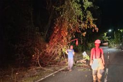 BPBD imbau warga waspadai bahaya bencana hidrometeorologi di Aceh Besar