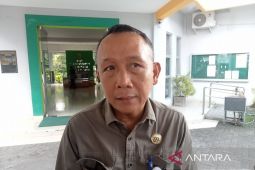 Pemkab Bantul optimistis swasembada beras pada 2025 dapat tercapai