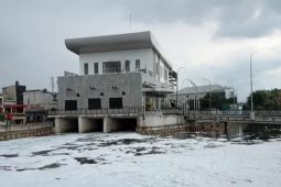 Muncul busa putih di Kali Mookervart