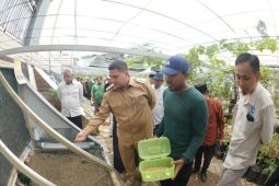 Pertanian perkotaan Bukit Baruga jadi percontohan ketahanan pangan