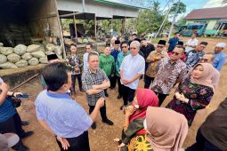 Pemprov Kalbar dukung tata kelola kratom