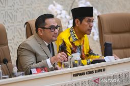 Komisi II minta Mendagri hentikan efisiensi transfer pusat ke daerah
