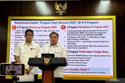Pemerintah luncurkan 5 program untuk serap hingga 3 juta lebih pekerja