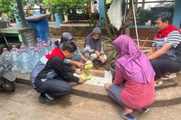 Pertamina Patra Niaga RJBB wujudkan kelestarian mangrove dan pemberdayaan ekonomi pesisir