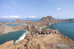 Kemenhut bakal batasi kunjungan ke TN Komodo