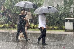 Isu reshuffle, Ahmad Dofiri beserta istri tiba di Istana