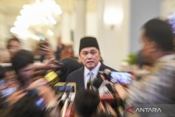 Wamen BUMN berpeluang jadi pelaksana tugas menteri BUMN