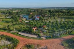 PT Timah reklamasi 75,52 hektare lahan bekas tambang di Babel