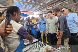 Pemprov Papua harap kunjungan Wapres ke PPI Hamadi perkuat sektor perikanan Papua