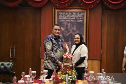 Film Mama Jo karya sutradara asal Citeureup Bogor torehkan prestasi dunia
