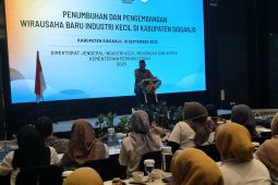 Komisi VII DPR RI apresiasi pelatihan industri mikro di Sidoarjo