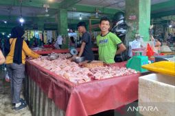 Harga daging ayam broiler di Pangkalpinang naik