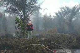 Riau bentuk Forum Komunikasi Pengelolaan Cagar Biosfer Giam Siak Kecil dan Bukit Batu