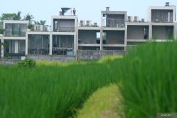 Gubernur Bali inisiasi raperda larangan alih fungsi lahan