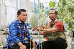 TPHP Kalteng-UPN Yogyakarta budi daya melon unggulan