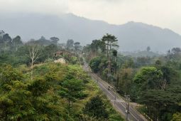 Pemprov Lampung susun "Integrated Area Development" berbasis perhutanan sosial