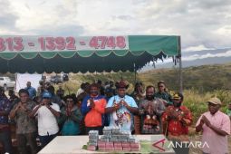 Pemkab Jayawijaya bayar Rp1,7 miliar lahan satu hektare bangun IPLT